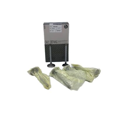 S6D102 S4D102 6BT Excavator Valve PC220 PC250 PC270 PW160 PW200 3901117 3901607